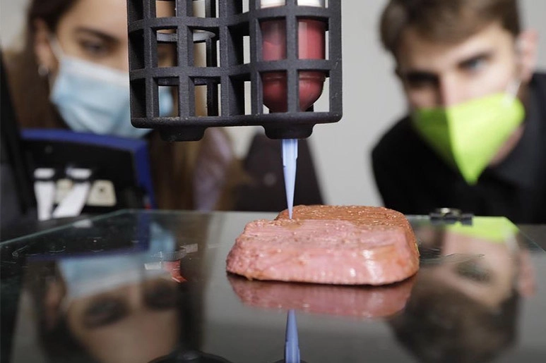 Carne 3D.jpg