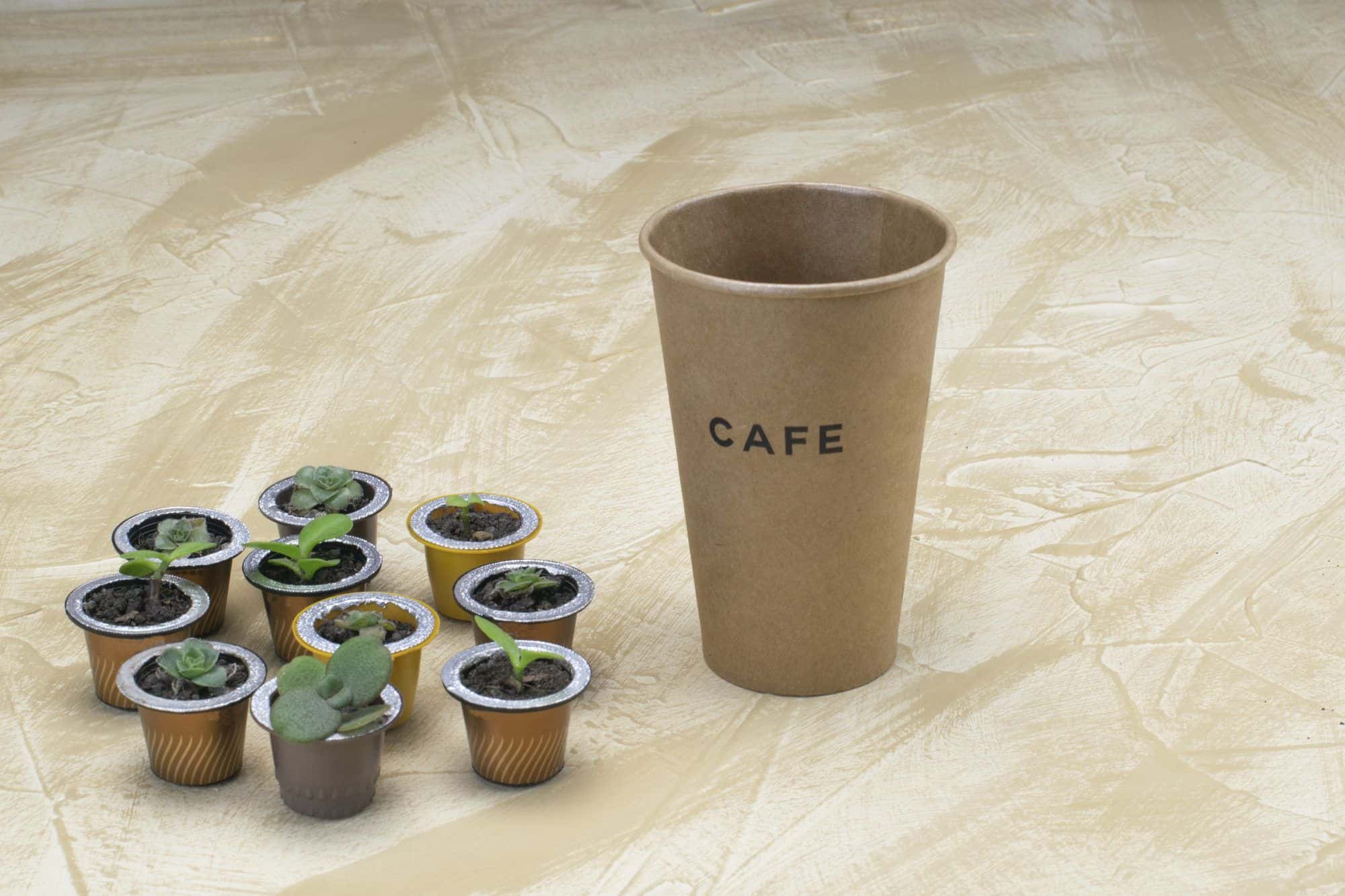 Taza de cafe de carton reciclable junto a capsulas de cafe Taza de cafe de carton reciclable junto a capsulas de cafe