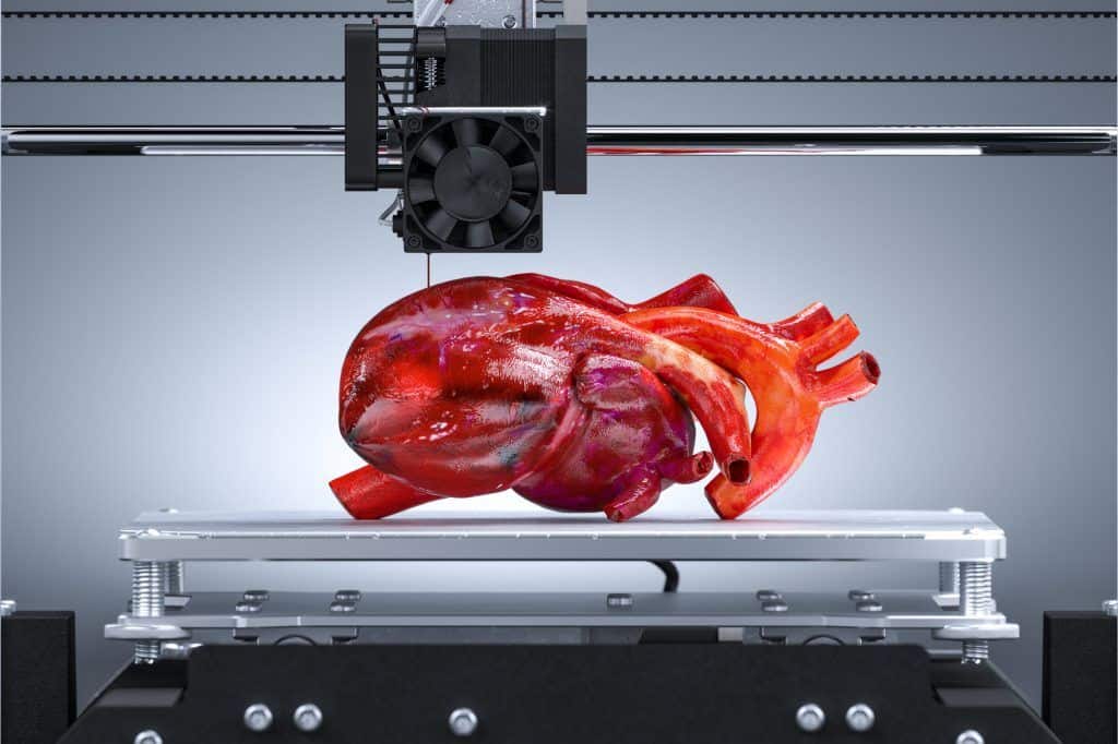 Impresion de impresora 3D Corazon realista