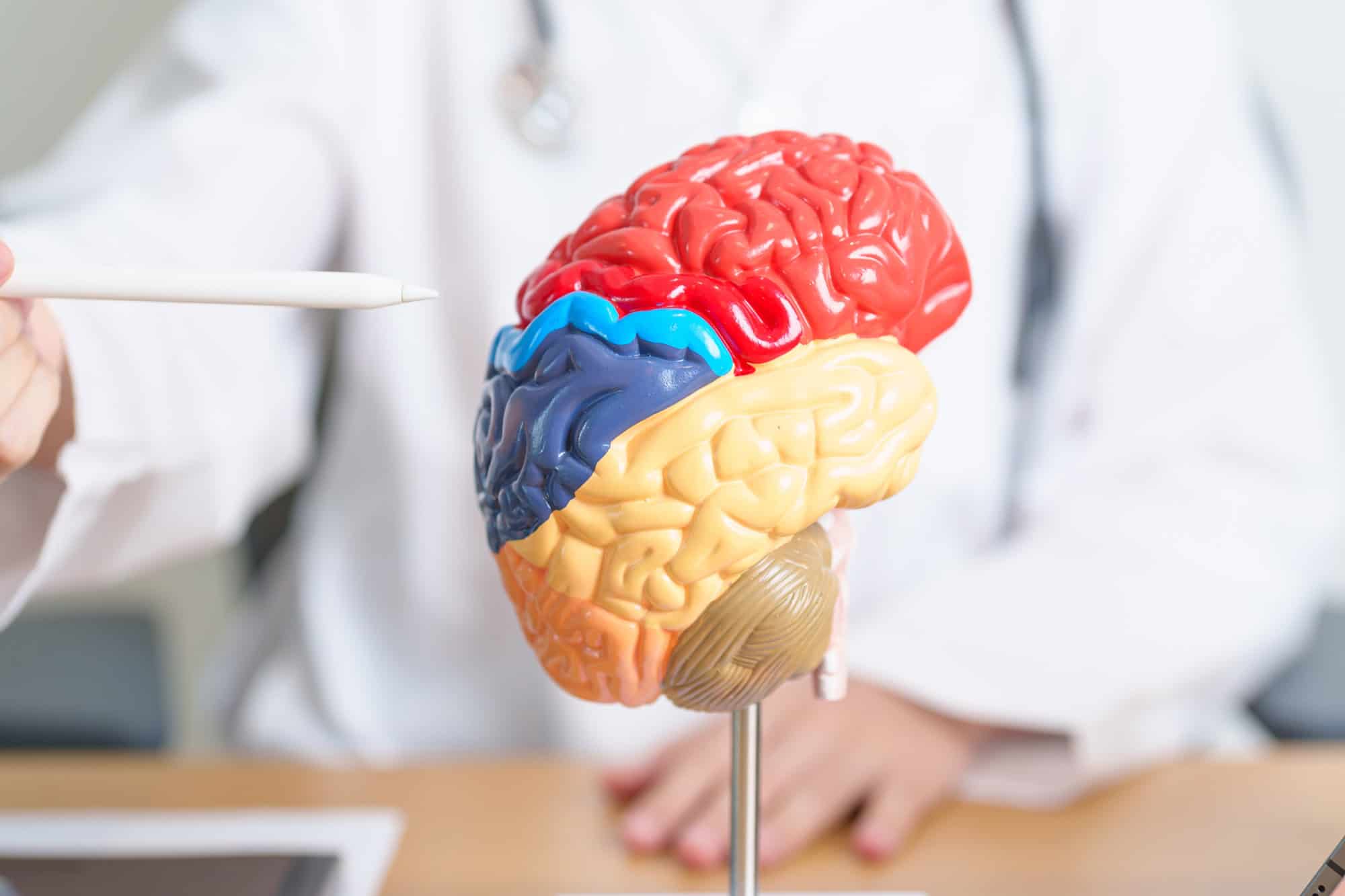 Medicina regenerativa con impresión 3D